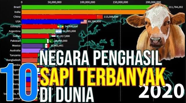 
                                 10-Negara-Penghasil-Sapi-Terbesar-Di-Dunia